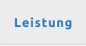 Leistung