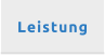 Leistung